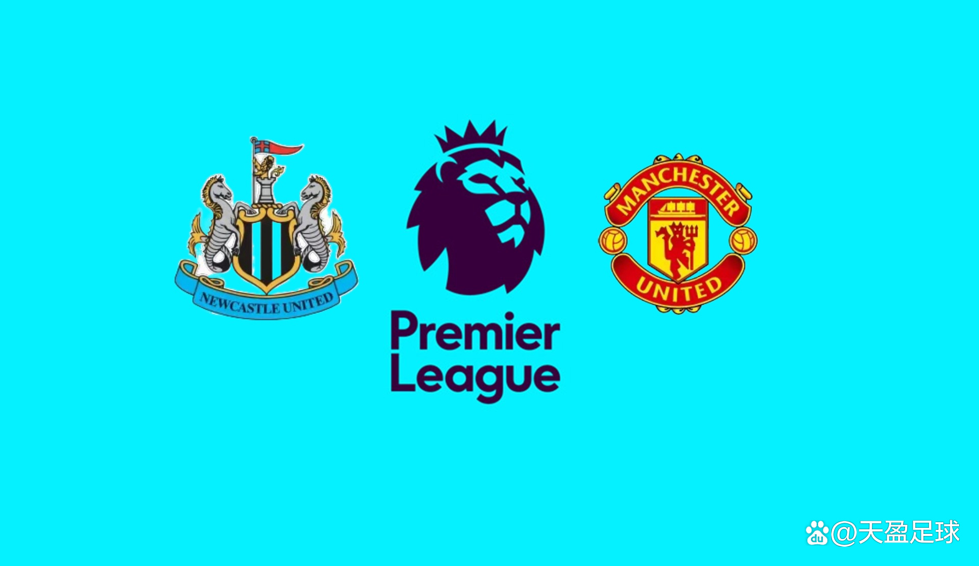 比赛的结果 比赛的结果