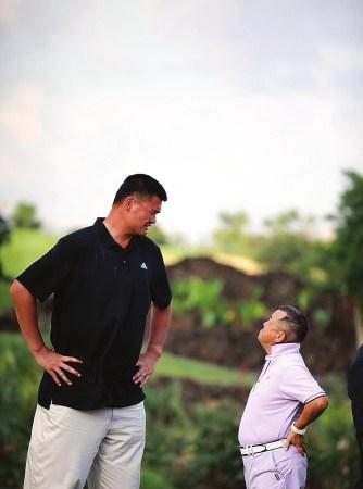 挥着至关重 挥着至关重