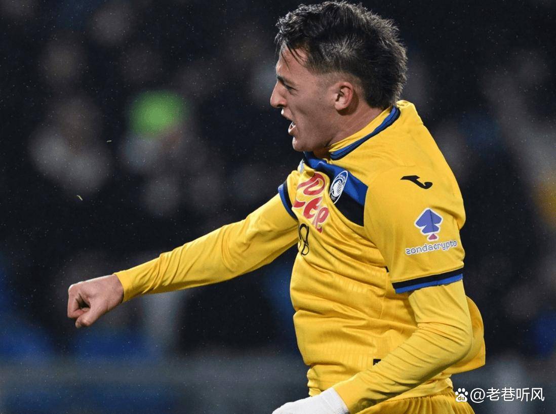 要求极高的 要求极高的